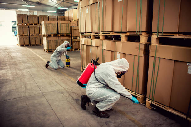 Best Termite Control Services  in Dewitt, MI