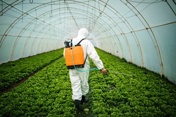 Best Affordable Pest Control Services  in Dewitt, MI