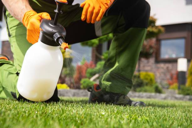 Best Pest Inspection Near Me  in Dewitt, MI