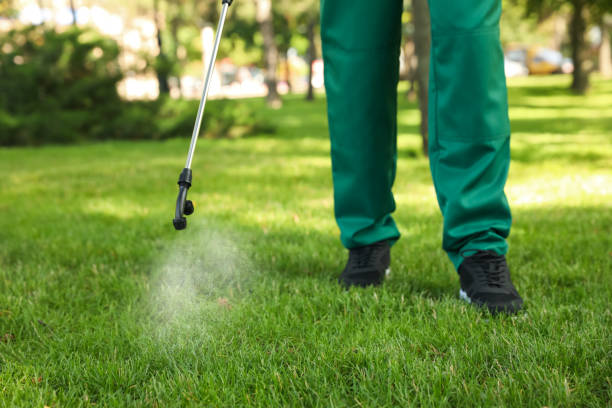 Best Wasp Removal Services  in Dewitt, MI