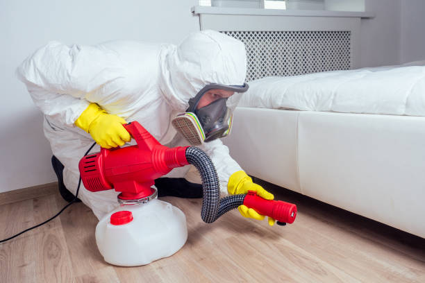 Best Residential Pest Control  in Dewitt, MI