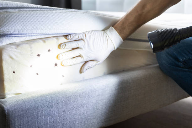 Best Best Pest Control Companies  in Dewitt, MI
