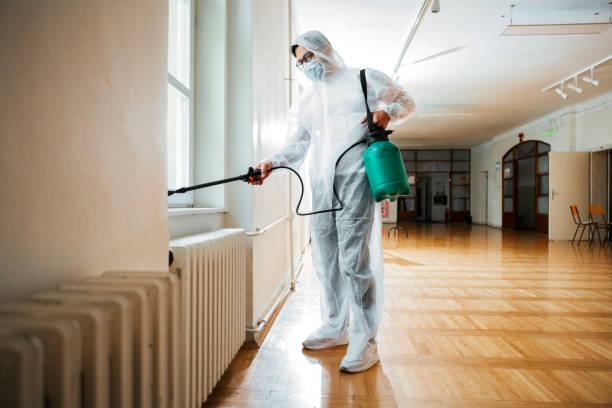 Best Pest Control for Businesses  in Dewitt, MI