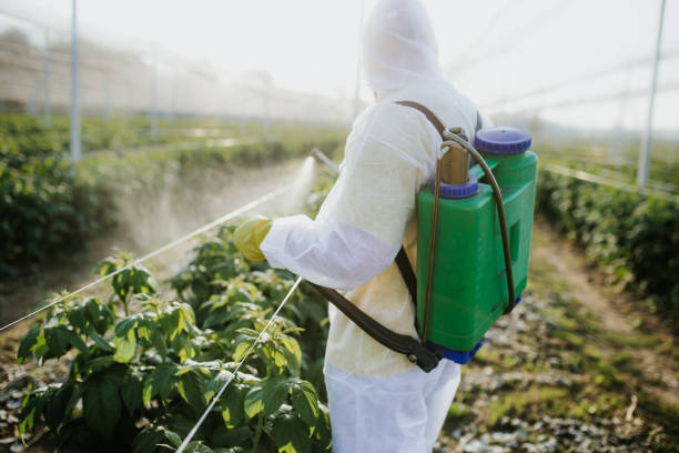 Best Ant Control Services  in Dewitt, MI